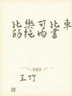 比乐可比车速快的纯肉书