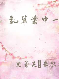 乱草丛中一杆枪