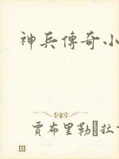 神兵传奇小说