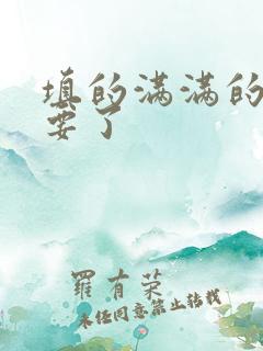 填的满满的 不要了