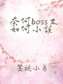 奈何boss又如何小说