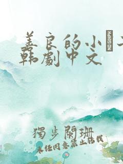 善良的小峓子2韩剧中文