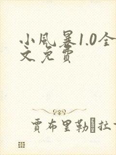 小风暴1.0全文免费
