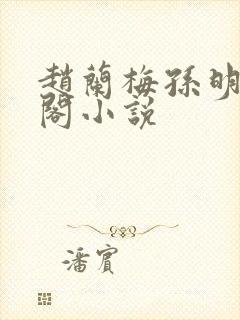 赵兰梅孙明笔趣阁小说