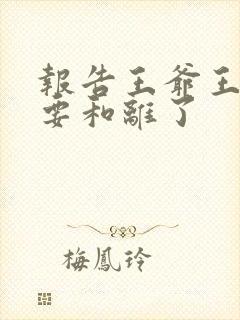 报告王爷王妃又要和离了