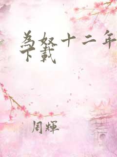 为奴十二年迅雷下载