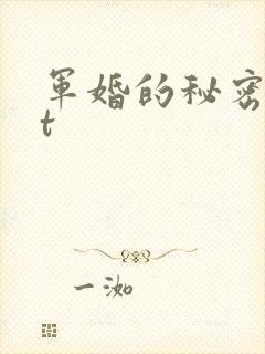 军婚的秘密txt