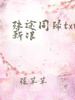 殊途同归txt新浪