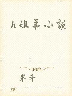 h姐弟小说