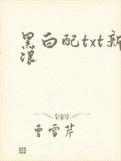 黑白配txt新浪