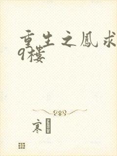 重生之凤求凰19楼