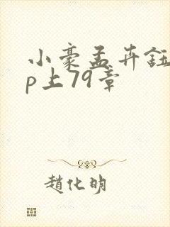 小豪孟卉钰慧三p上79章