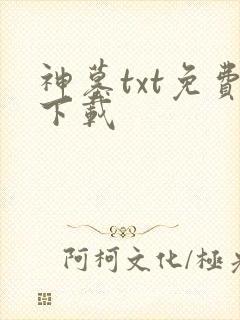 神墓txt免费下载