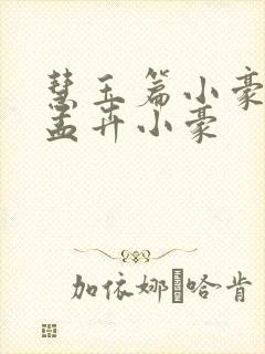 慧玉篇小豪续上孟卉小豪