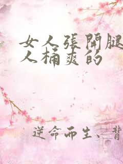 女人张开腿让男人桶爽的