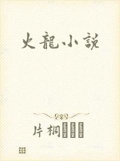火龙小说