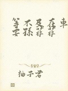 等不及在车里就要孙菲菲