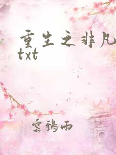 重生之非凡人生txt
