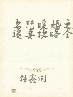 名门暖婚之权爷追妻攻略全文免费阅读