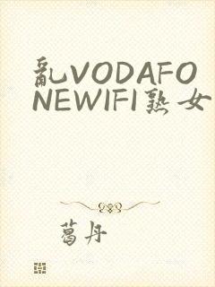 乱VODAFONEWIFI熟女