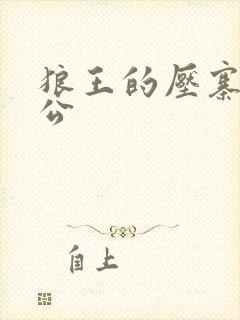 狼王的压寨小相公