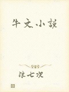 牛文小说