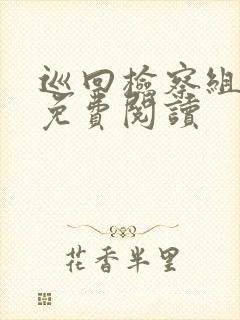 巡回检察组小说免费阅读