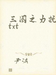 三国之力挽狂澜txt