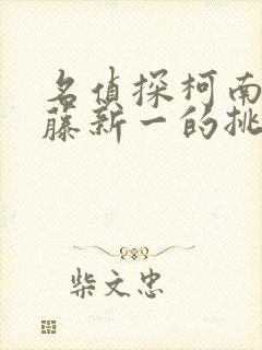 名侦探柯南给工藤新一的挑战书