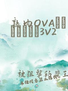 熟肉OVAちゃんはしたい3V2