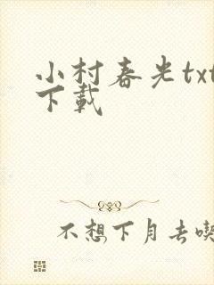 小村春光txt下载