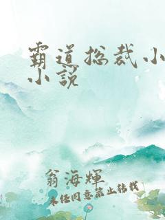 霸道总裁小娇妻小说