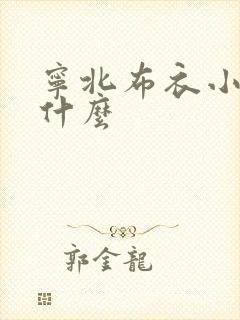 宁北布衣小说叫什么