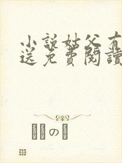 小说姑父有力挺送免费阅读