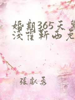 婚期365天慕浅霍靳西免费阅读