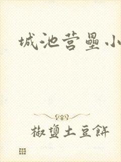 城池营垒小说