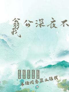 翁公深夜不停要我