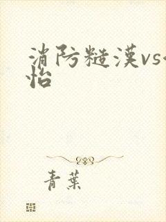 消防糙汉vs江怡