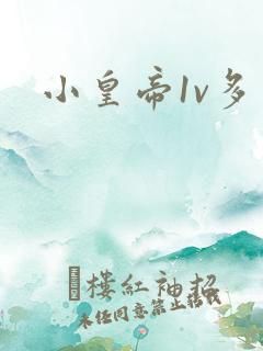 小皇帝1v多