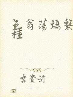 色翁荡熄系列借种