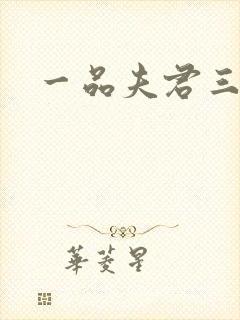 一品夫君三流妻