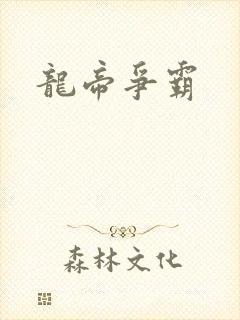 龙帝争霸