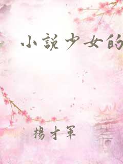小说少女的心