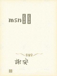 msnС˵