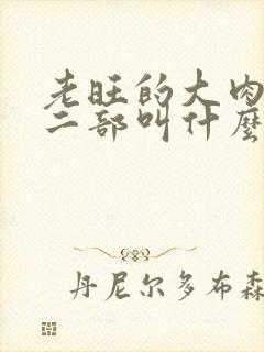 老旺的大肉蟒第二部叫什么小说