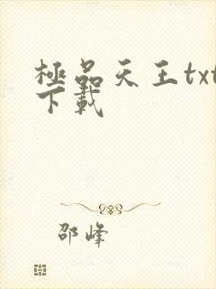 极品天王txt下载