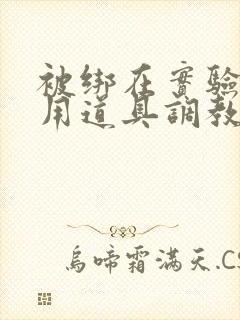 被绑在实验台上用道具调教