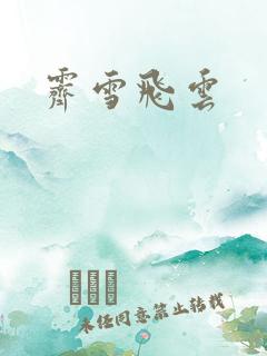 霁雪飞云