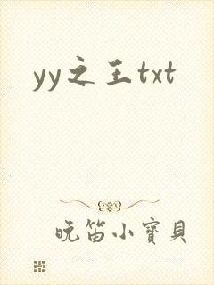 yy之王txt
