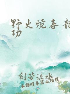 野火烧春 龙鸣功